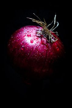 Red Onion Onion Image, Onion Photography, Mediterranean Lentil Salad, Vegetable Photography, Simple Vegan Recipes, Shell Pasta Recipes, Lentil Salad Recipes, Vegetables Photography, Food Art Photography