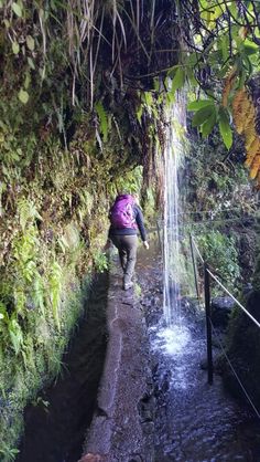 a person walking down a path next to a waterfall