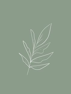 a single leaf on a green background with white lines in the shape of a rectangle