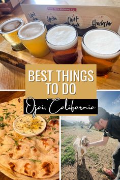 a collage of pictures with beer, pizza and other things to do in california