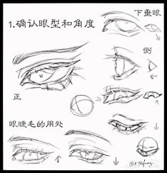 various types of eyes with chinese writing on the bottom and bottom half of each eye