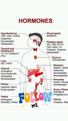 an image of the human body and its major organs, including the name of each organ