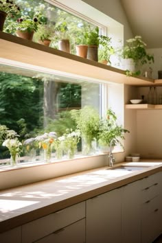 best prodect,well quality Plants Over Kitchen Window, High Kitchen Windows, Plants By Kitchen Window, Kitchens With Plants, Shelf Across Kitchen Window, Kitchen Window With Plants, Window Plants Outdoor, Kitchen With Open Window, Kitchen Window Herbs