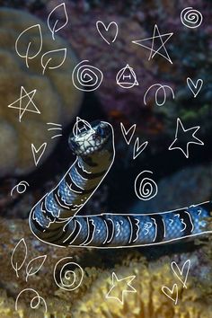 an image of a snake that is floating in the air with stars and hearts around it