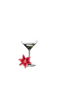 a martini glass with a red flower in it