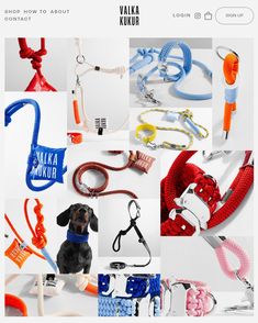 several different types of leashes and collars are shown in this screenshote