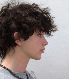 Ftm Haircuts, Messy Hair Boy, Brown Hair Boy, Men Haircut Curly Hair, Brown Curly Hair, Hair Inspiration Short, Boys With Curly Hair, Fluffy Hair, Curly Hair Men