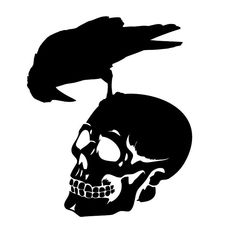 a skull with a crow sitting on top of it