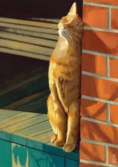 an orange cat sitting on top of a brick wall