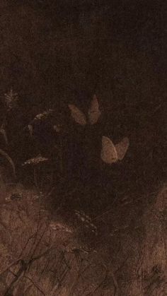 two white butterflies are flying in the dark night sky above some dead grass and trees