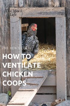 the hen's loft how to ventulate chicken coops