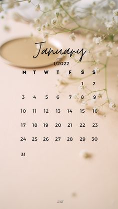 an image of a calendar with baby's breath flowers on the cover and text january