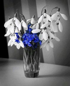 blue and white flowers in a glass vase