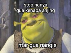 an image of a green man with the caption stop narya gu kenapa aving