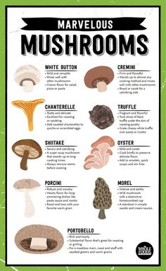 an illustrated poster with mushrooms in different colors