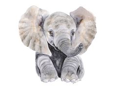 an elephant print baby elephant nursery watercolor sticker is on the app store's website