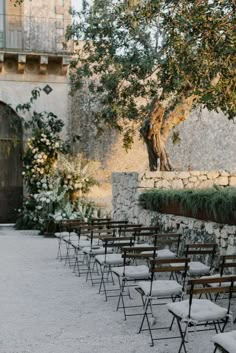 rows of folding chairs lined up in front of a stone wall and tree with white flowers