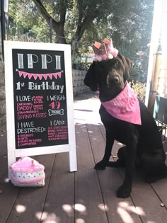 a black dog wearing a pink bandana sitting next to a birthday chalkboard sign