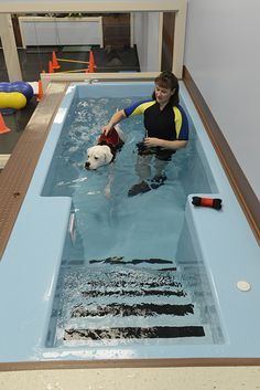 a woman in a swimming pool with a dog