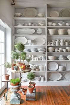 an image of a room filled with dishes and plants on shelves in the middle of it