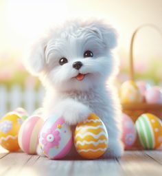 a small white dog sitting next to some eggs