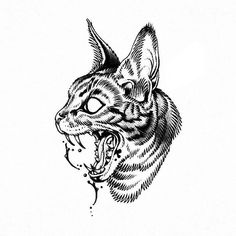 an ink drawing of a cat's head with it's mouth wide open