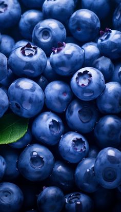 blueberries with green leaf and water droplets on them are seen in this close up image