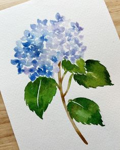 a watercolor painting of a blue hydrangea flower