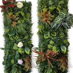 two vertical green wall panels with plants and flowers