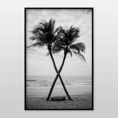 black and white photograph of two palm trees in front of the ocean on a beach