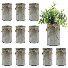 twelve tin canisters with rope tied around them and a potted plant in the middle