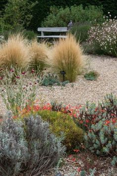 a bench sitting in the middle of a garden