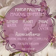 Flower Witchcraft, Herb Witchcraft, Herbal Properties, Magick Herbs, Magickal Correspondences, Marsh Mallow