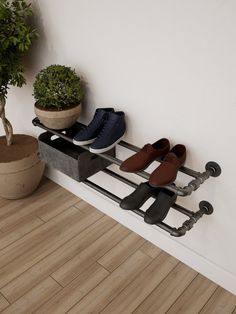 three pairs of shoes are sitting on a rack in front of a potted plant