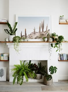 some plants are sitting in front of a fireplace