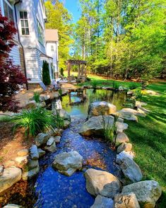 a small stream running through a lush green yard