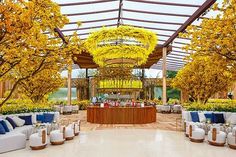 an outdoor venue with white couches and yellow flowers hanging from the ceiling, surrounded by trees