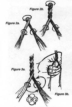 the diagram shows different types of scissors