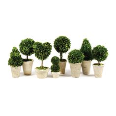 small potted trees are lined up in the shape of heart - shaped bushes on white background