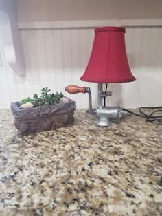 a red lamp sitting on top of a counter next to a potted plant in a vase