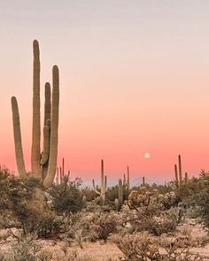 the sun is setting in the desert with saguados and cacti all around