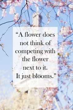 a quote on flowers with the words, a flower does not think of competing with the flower next to it just blooms