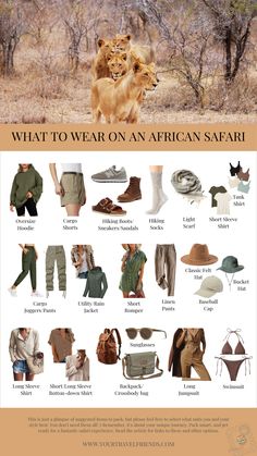 an african safari poster with pictures of animals and people in the wild, including lions