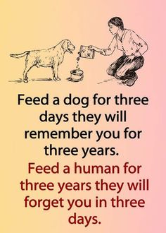 a person feeding a dog with a cup in front of them and the words feed a dog for three days they will remember you for three years