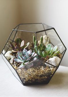 a glass vase filled with succulents on top of a table