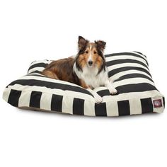 a brown and white dog laying on top of a blue and white striped pillow bed