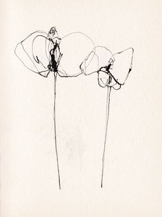 a drawing of three flowers on a white background