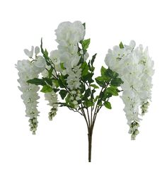 white flowers with green leaves are in a vase