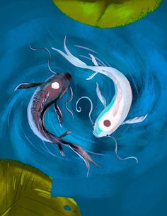 two koi fish are swimming in the water