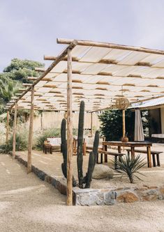 an outdoor covered patio area with cactus and wooden table in the foreground, surrounded by gravel